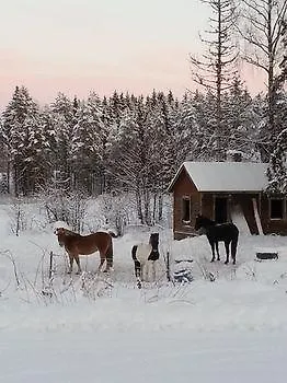 Tuhannen Tarinan Talo Hotelli Kannuskoski