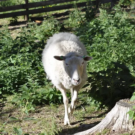Tuhannen Tarinan Talo Hotelli Kannuskoski