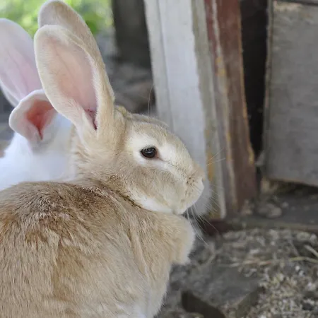 Tuhannen Tarinan Talo